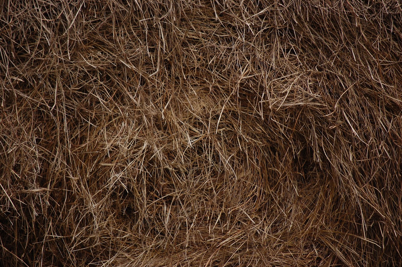 hay, field, nature, grass, countryside, farm, farmland, natural, haystack, paja