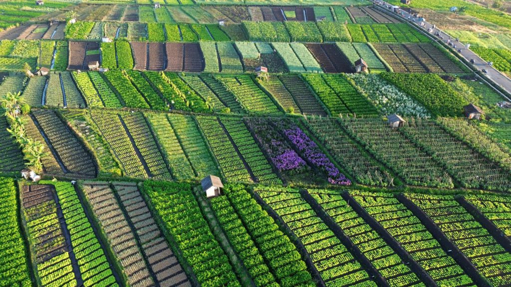 Expansive aerial view of vibrant farmland patches at sunrise, showcasing diverse agricultural patterns.