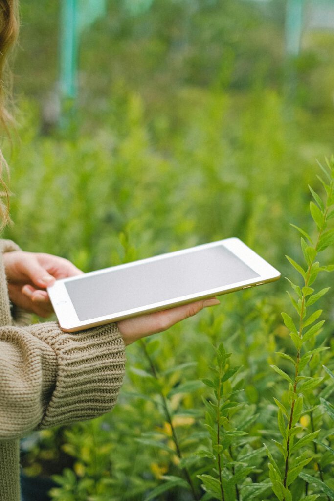 Side view of crop anonymous female gardener browsing tablet for making database about seedling in greenhouse