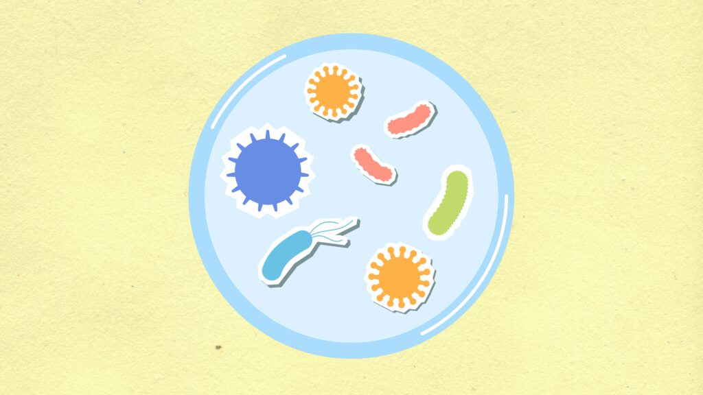 From above of decorative cardboard applique of round shaped cell with various microbes and viruses on yellow background